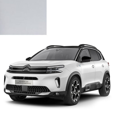 Краска по коду акриловая белая 210F BLANC для автомобилей Citroen