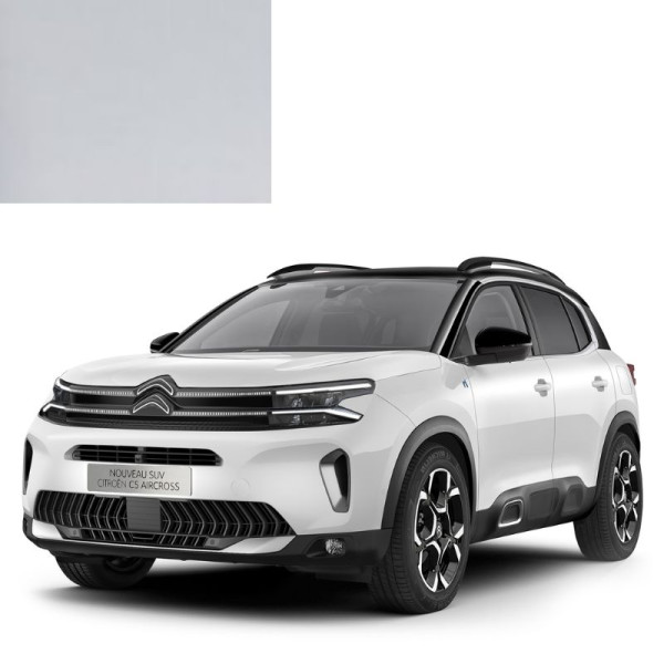 Краска по коду акриловая белая 210F BLANC для автомобилей Citroen