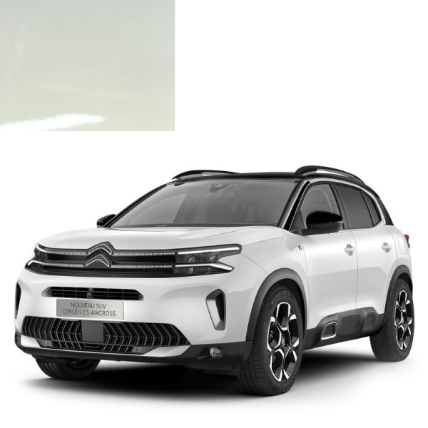 Краска по коду акриловая белая H9 BLANC ANTARCTIQUE для автомобилей Citroen